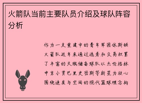 火箭队当前主要队员介绍及球队阵容分析